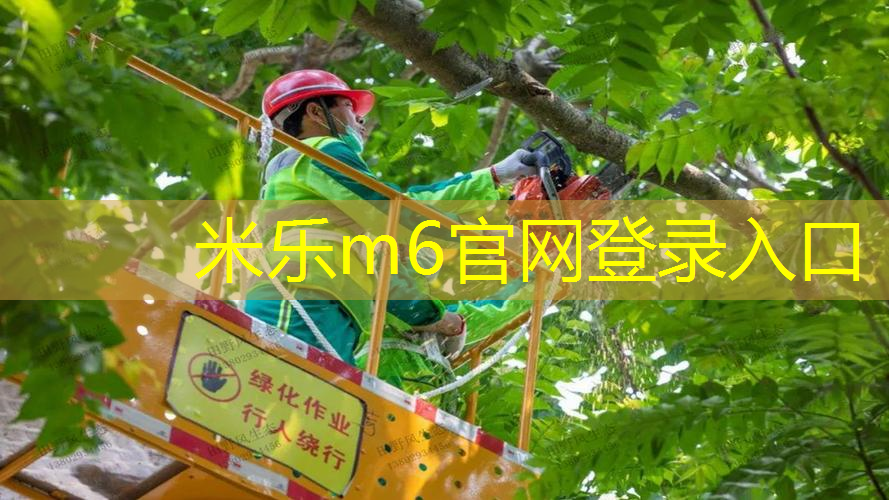 mile米乐m6官网：美狮龙网球拍好吗_