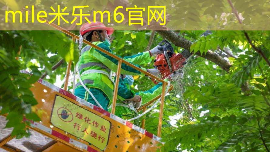赞助商网球拍是谁发明的