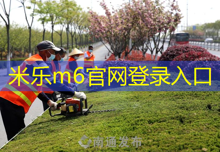 米乐m6官网：高品质篮球架推荐：为您的训练提供最佳支持