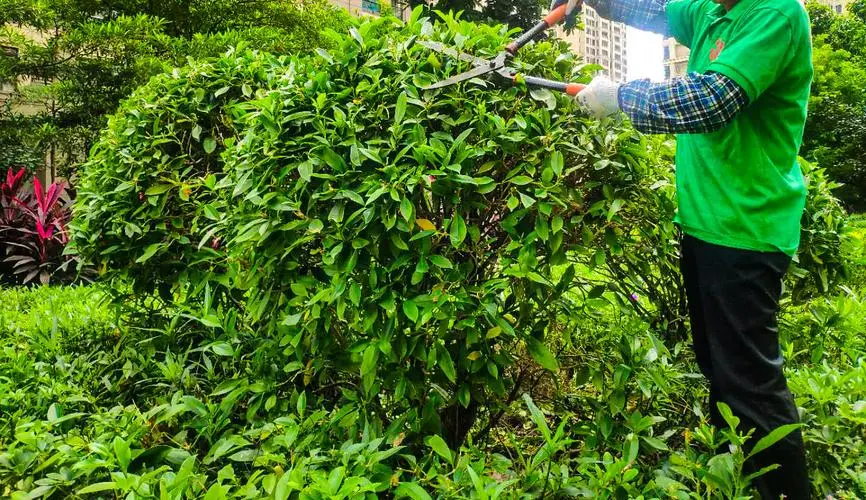 米乐m6官网：有乒乓球台的家