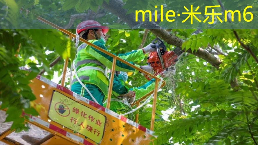 mile·米乐m6：乒乓球台面用什么材质的好