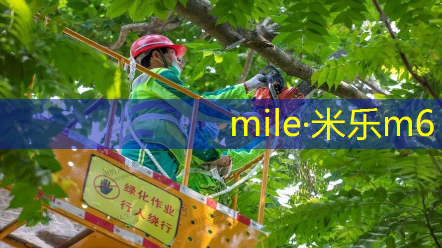 小学乒乓球台标准