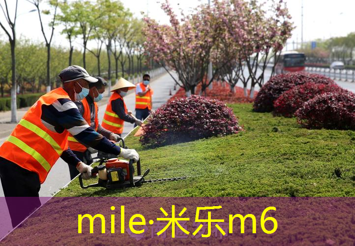 儿童乒乓球台怎么选择