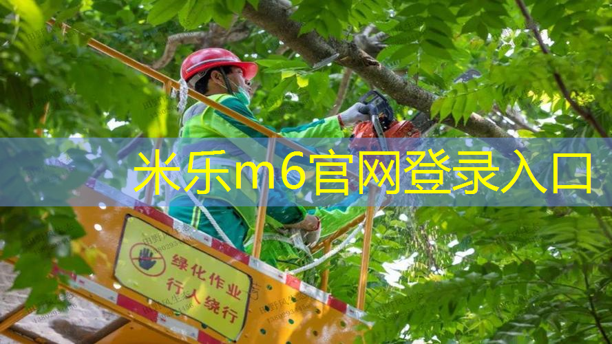 乒乓球台面用什么材质的好