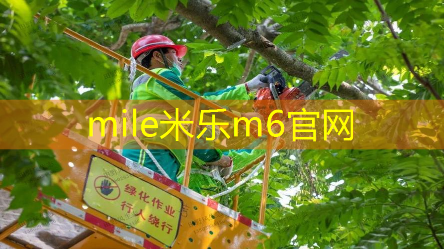 小学乒乓球台标准
