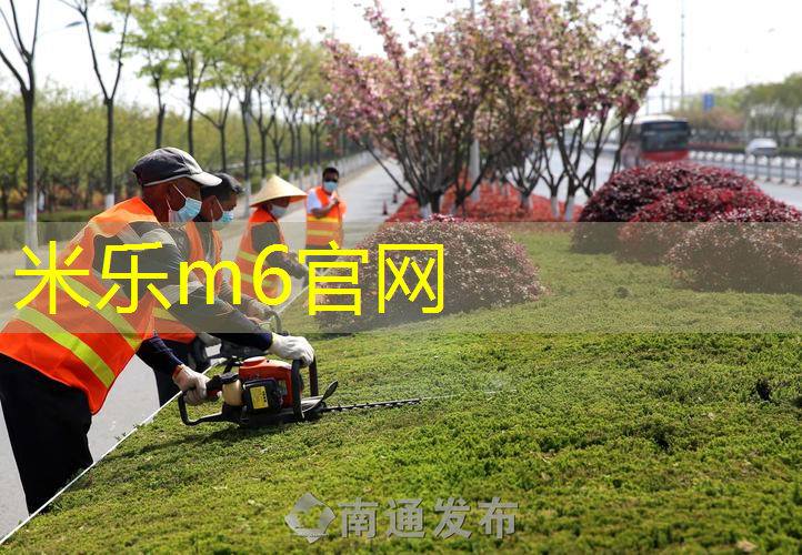 乒乓球台面弹性测量