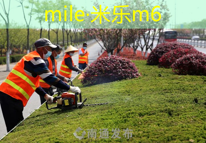 利用户外健身器材燃烧脂肪的最佳方法。
